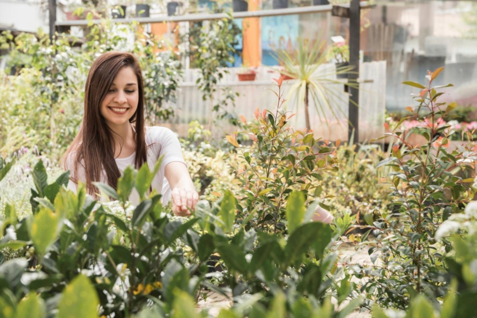 Floristik-Arbeitsplatz mit verschiedenen Blumen und Werkzeugen